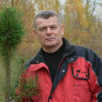 Отзыв от Анатолий - Visa DTV